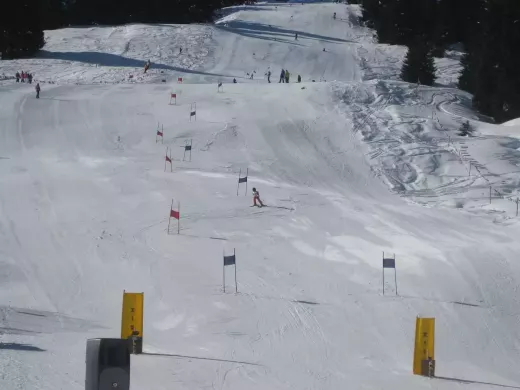 אפקט X Games: כיצד התחרות עוררה השראה לחדשנות בסקי חופשי וסנובורד
